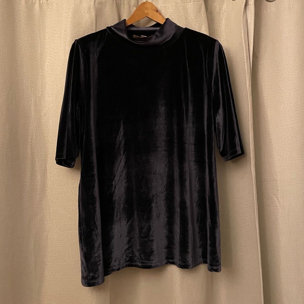 LOFT Velvet Turtleneck Shirt